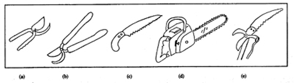 Fig. 3: Illustration of various tools used for tree pruning. 